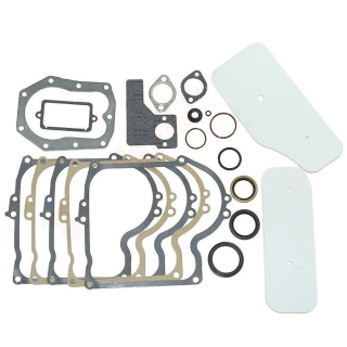 Jeu de joints pour Briggs et Stratton 393411