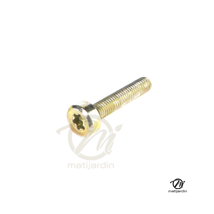 Vis Torx 27 M5 x 25 pour tronçonneuse Stihl 066 MS660