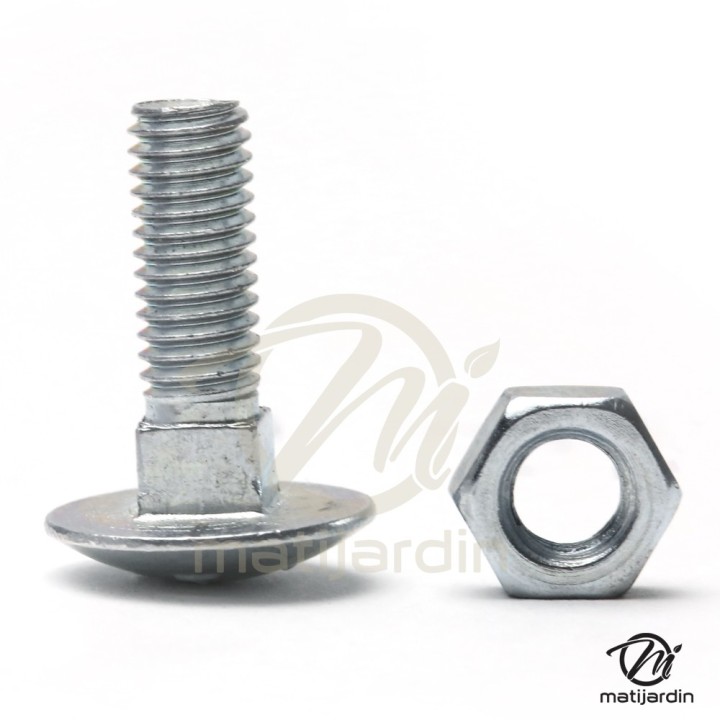Boulons à tête bombée et collet carré. x8. Pour Etesia 26157