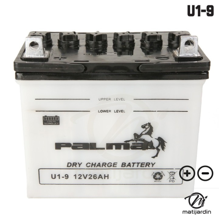 Batterie tondeuse Premium Palma U1-9. Vendue sèche