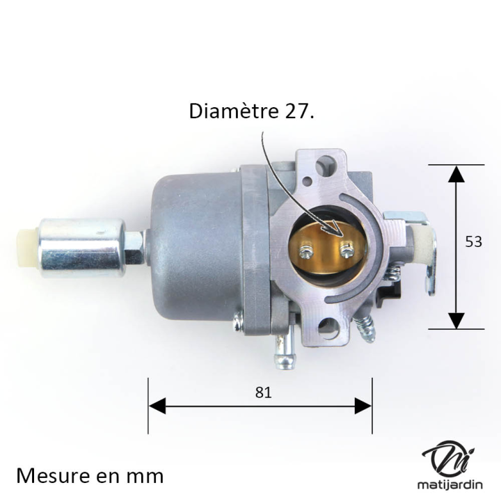 Carburateur pour moteur Briggs & Stratton 794572