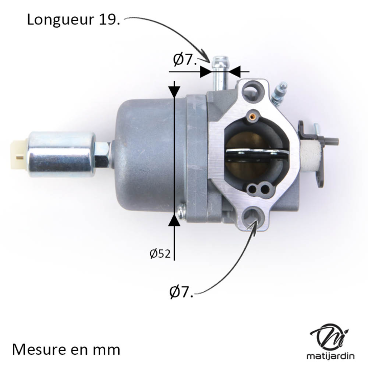 Carburateur pour moteur Briggs & Stratton 794572