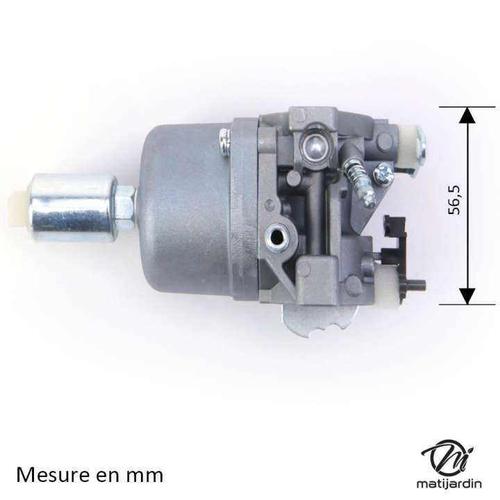 Carburateur pour moteur Briggs & Stratton 794572