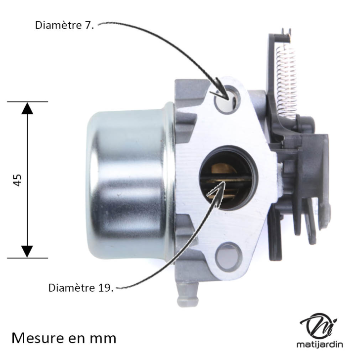 Carburateur pour moteur Briggs & Stratton 796608