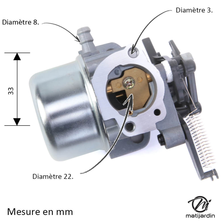 Carburateur pour moteur Briggs & Stratton 796608