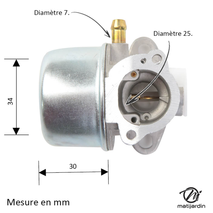 Carburateur pour moteur Briggs & Stratton 790120