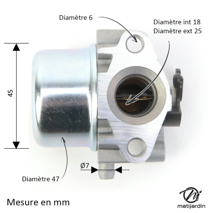 Carburateur pour moteur Briggs & Stratton 799866