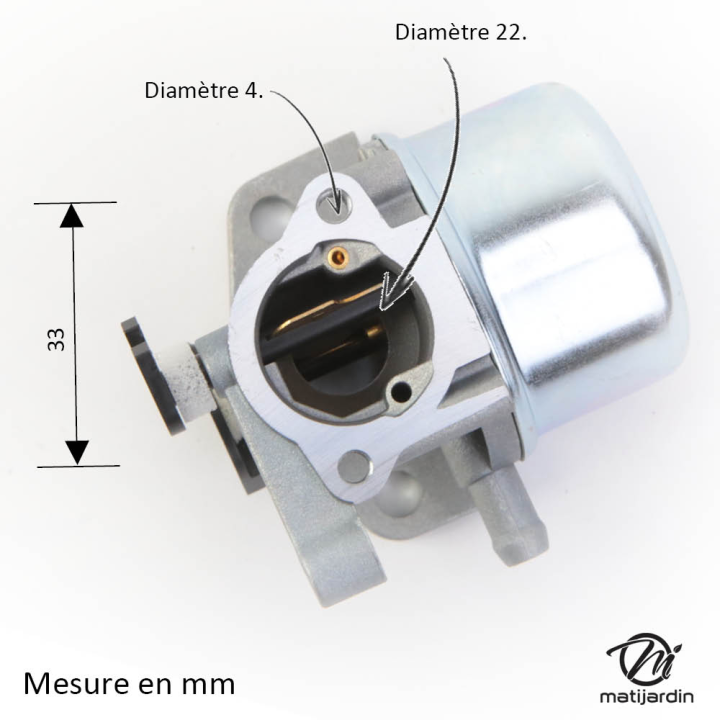 Carburateur pour moteur Briggs & Stratton 799866