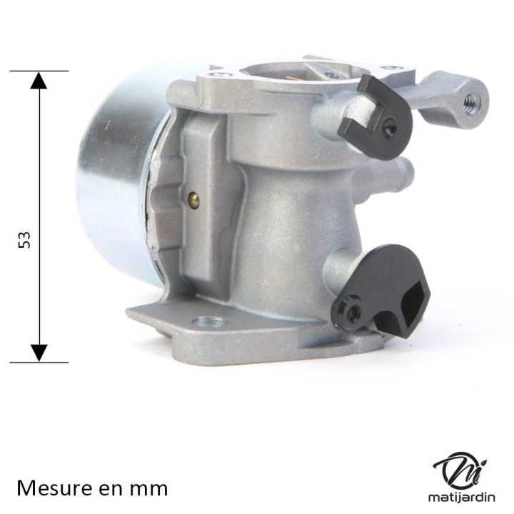 Carburateur pour moteur Briggs & Stratton 799866
