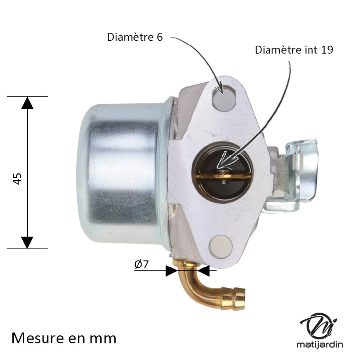 Carburateur pour moteur Briggs & Stratton 798653