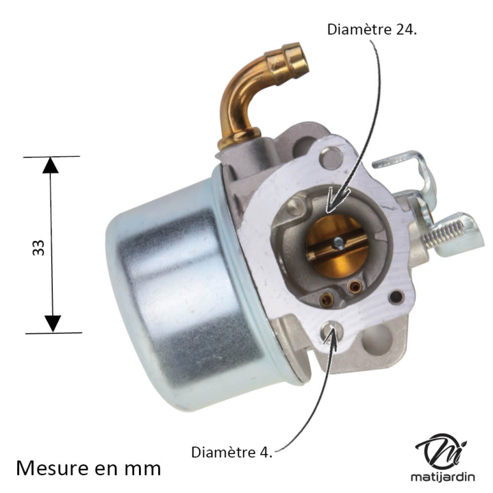 Carburateur pour moteur Briggs & Stratton 798653