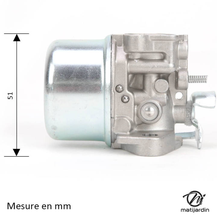 Carburateur pour moteur Briggs & Stratton 798653