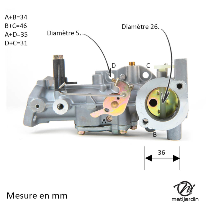 Carburateur pour Briggs & Stratton 5 & 6 HP