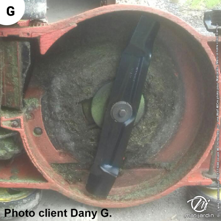 Lame tondeuse pour Wolf 171046 coupe 46 cm