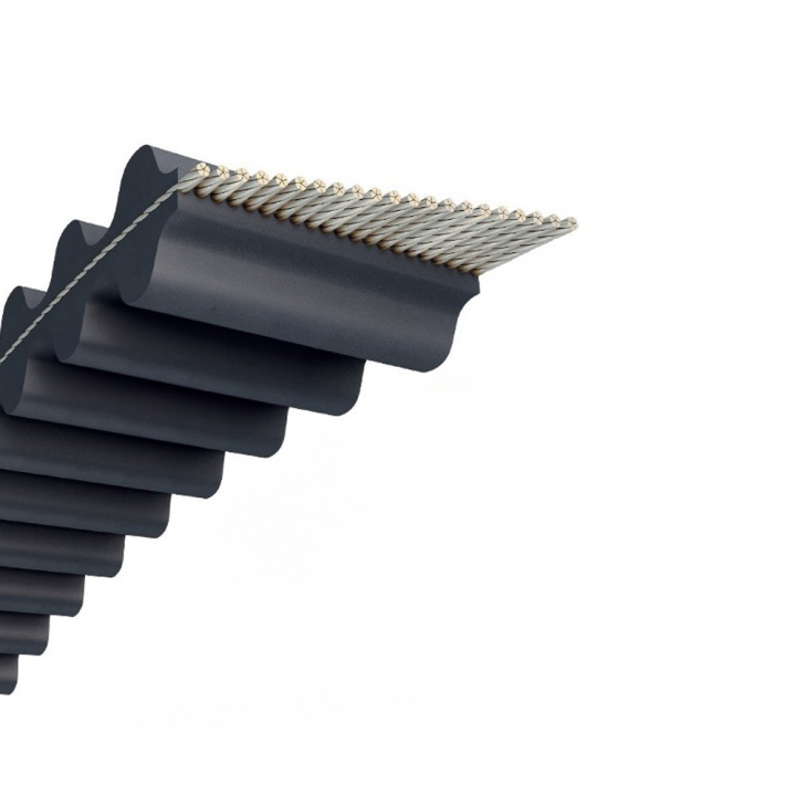 Courroie tondeuse Double denture 1800DS8M25 - 25 mm x 1800 mm