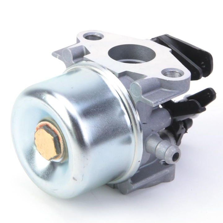 Carburateur pour moteur Briggs & Stratton 796608