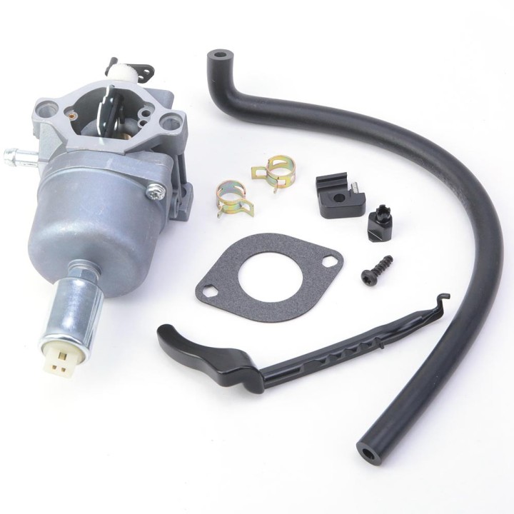 Carburateur pour moteur Briggs & Stratton 794572