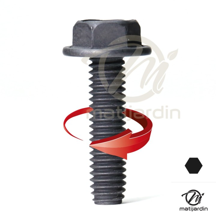 Vis autotaraudeuse pour AYP. x 10. Ø 7,9 mm