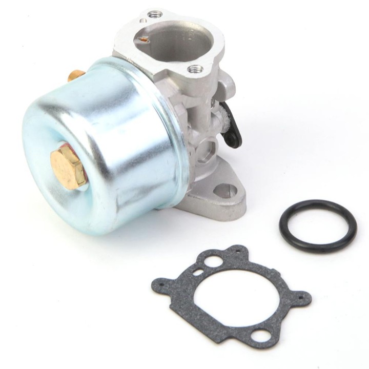 Carburateur pour moteur Briggs & Stratton 799866