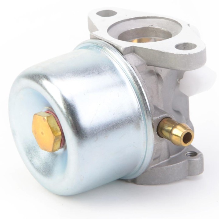Carburateur pour moteur Briggs & Stratton 790120