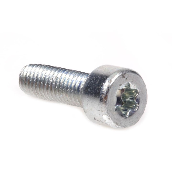Vis Torx 27 pour Stihl. x10. Type M5 x 16