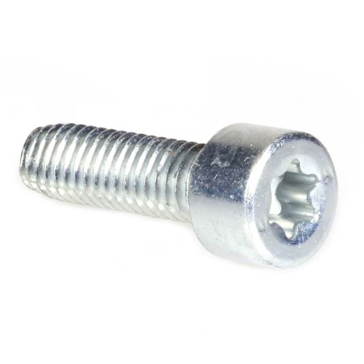 Vis Torx 27 pour Stihl. x10. Type M6 x 20