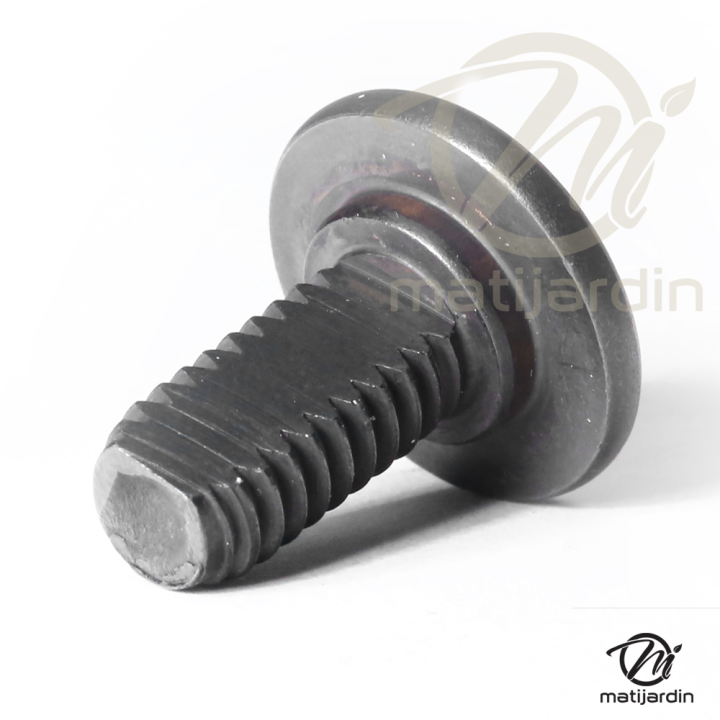 Jeu de deux boulon de lame specifique pour tondeuse de marque Homelite