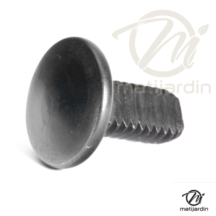 Jeu de deux boulon de lame specifique pour tondeuse de marque Homelite