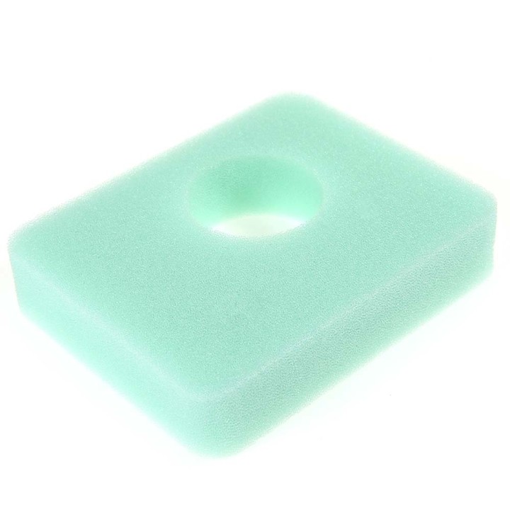 Filtre à air pour moteur Briggs & Stratton 799579