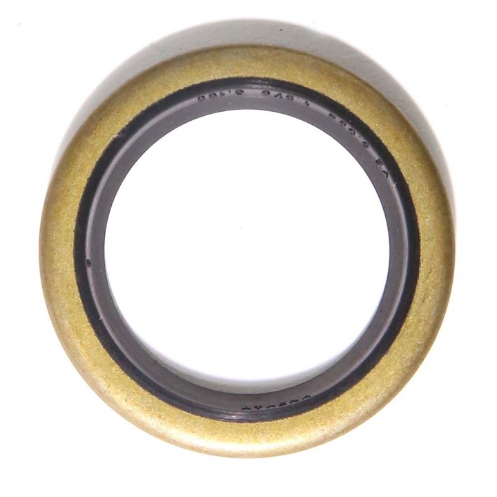 Joint spi pour moteur Briggs & Stratton N°294606