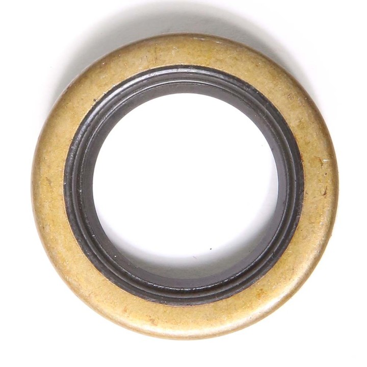 Joint spi pour moteur Briggs & Stratton N°391485 et 294167