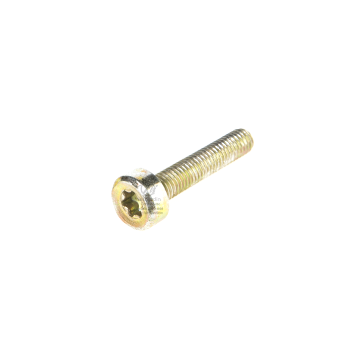 Vis Torx 27 M5 x 25 pour tronçonneuse Stihl 019 MS190