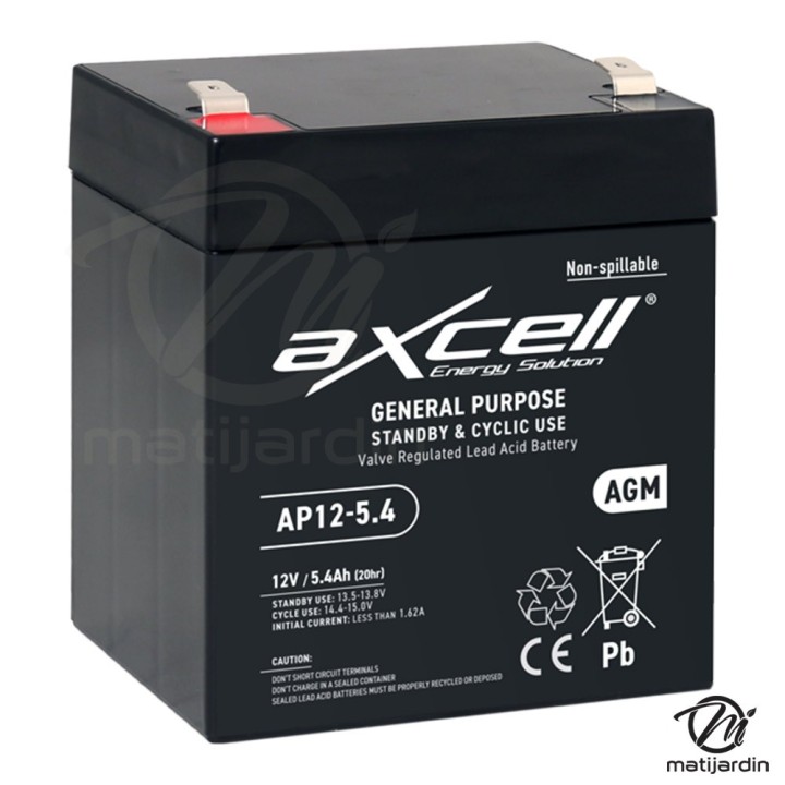 Batterie tondeuse gel Axcell AP12-5.4 5,4 Ah
