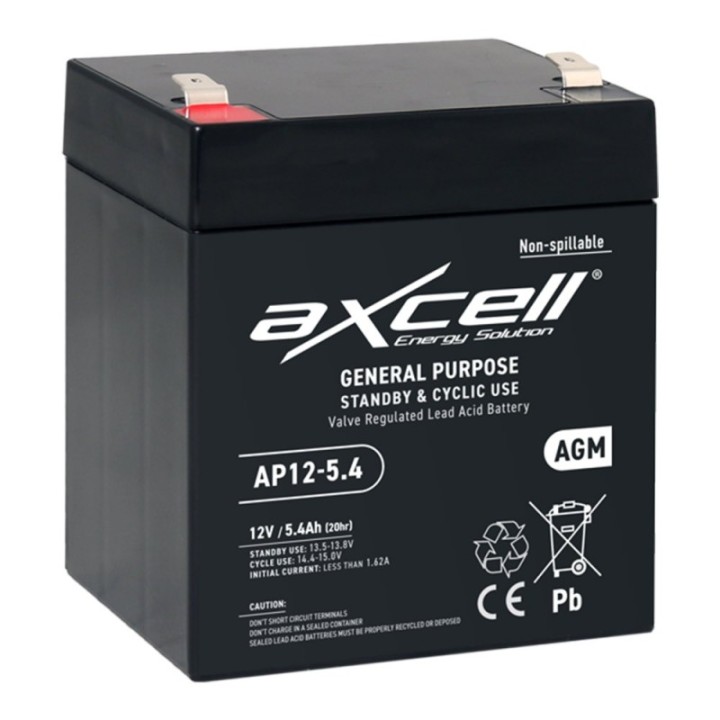 Batterie tondeuse gel Axcell AP12-5.4 5,4 Ah