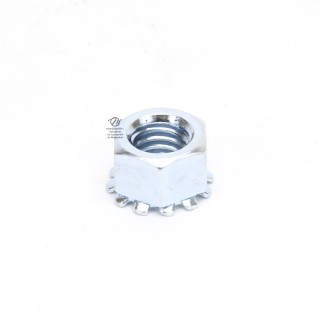 Ecrou pour axe de roue tondeuse. x 10