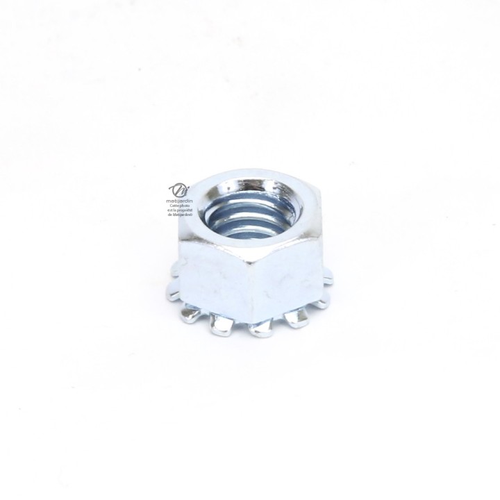 Ecrou pour axe de roue tondeuse. x 10