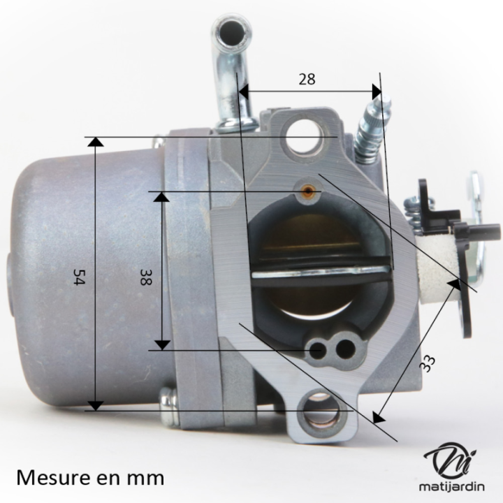 Carburateur pour moteur Briggs & Stratton 590399