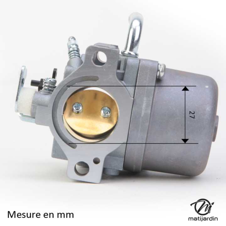 Carburateur pour moteur Briggs & Stratton 590399