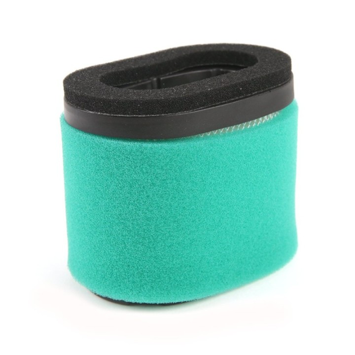 Filtre à air pour moteurs Briggs & Stratton Intek 121600 series