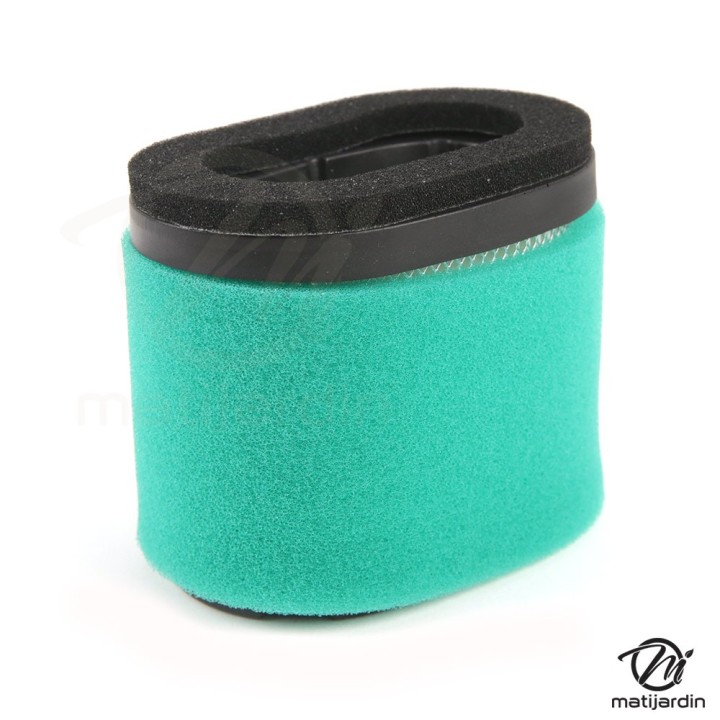 Filtre à air pour moteurs Briggs & Stratton Intek 121600 series