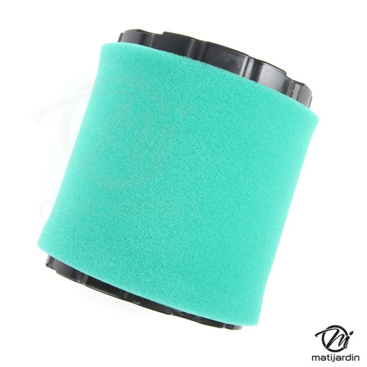 Filtre à air pour moteurs Briggs & Stratton 44M977 44P977 44Q977 49L977 49M977