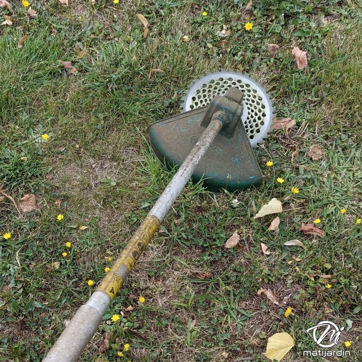 Lame disque carbure tungstène 36 dents débroussailleuse. Ø 230 mm. Alésage 25,4 mm. Multi-aérations