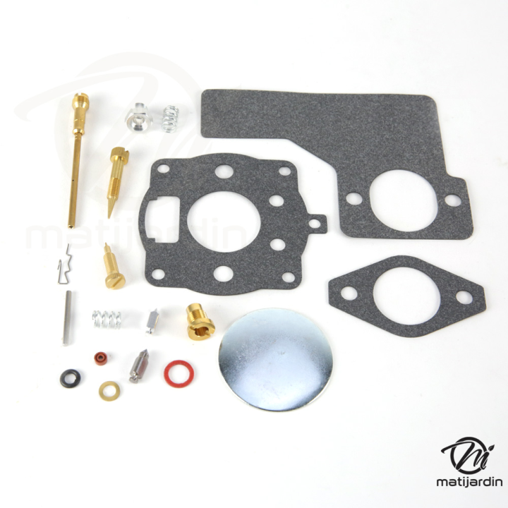 Kit réparation carburateur pour moteur Briggs & Stratton 494624, 495606