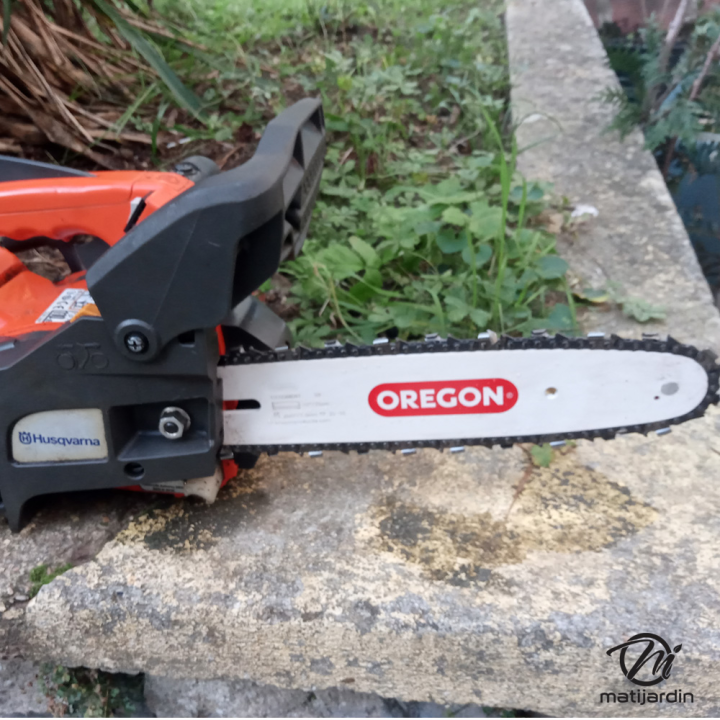 Guide tronçonneuse Oregon 25 cm. 1/4" 1,3 mm 58 maillons 100SDAA041 DB Guard