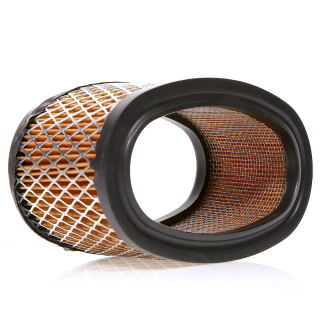 Filtre à air pour moteur Briggs & Stratton 393725