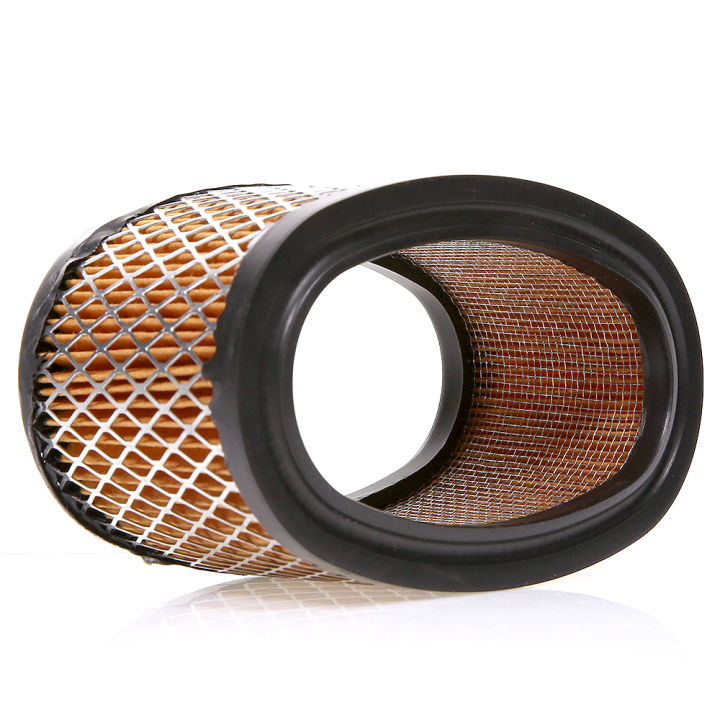 Filtre à air pour moteur Briggs & Stratton 393725