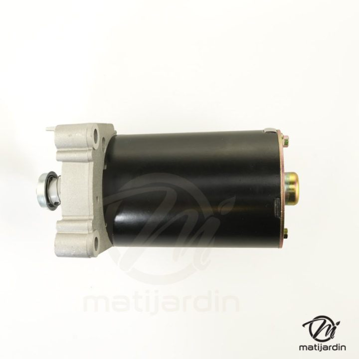 Démarreur pour moteur Briggs & Stratton séries 393017, 393019, 394247, 394674