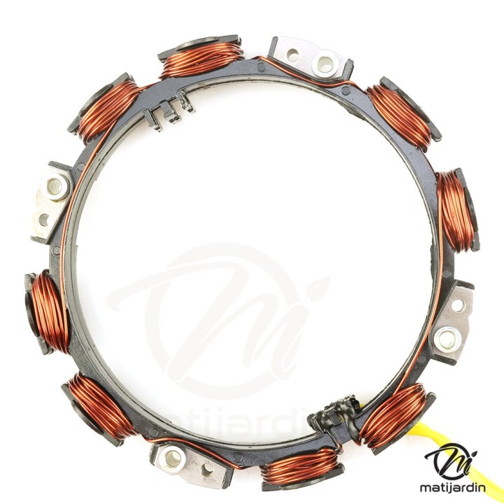 Alternateur de recharge pour moteurs Briggs & Stratton 592830, 696458, 691064