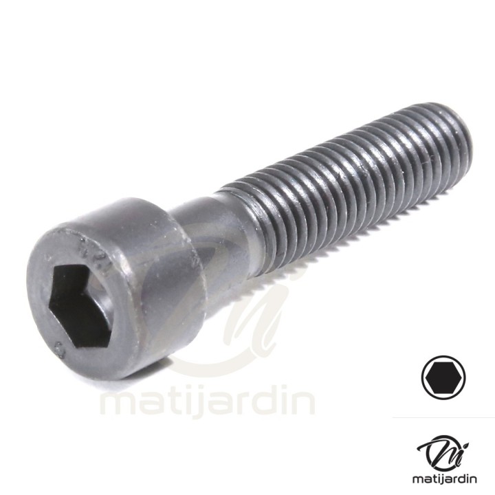 Vis de lame pour Sabo N° SA29693, SA31478, SAA29693, SAA31478, 15597, 19M8994, 29693, 31478, 34833, 426-100-000