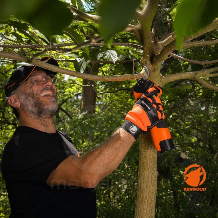 Pack outils sans fil KERWOOD avec mallette en tissus : Mini Tronçonneuse + Sécateur Électrique